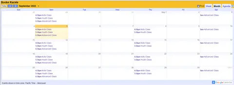 Screenshot of calendar from classes page